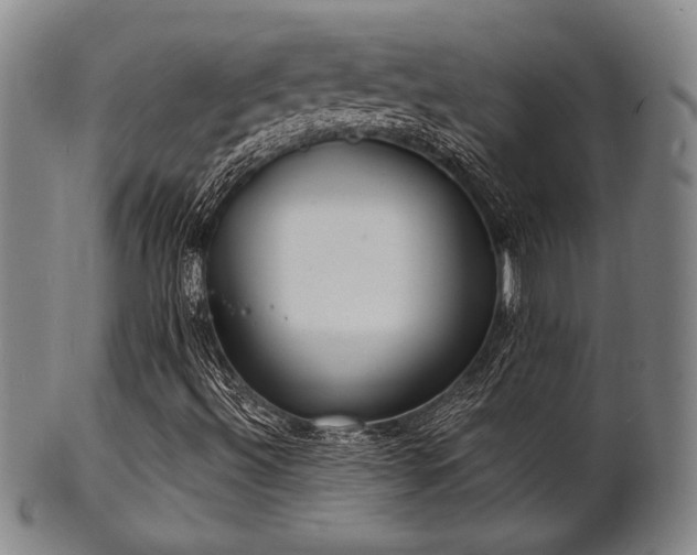 X0000101691492200807101500