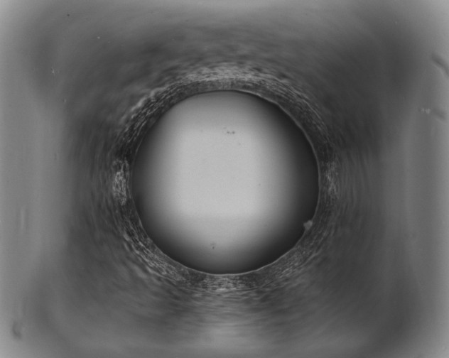X0000101691493200807101500