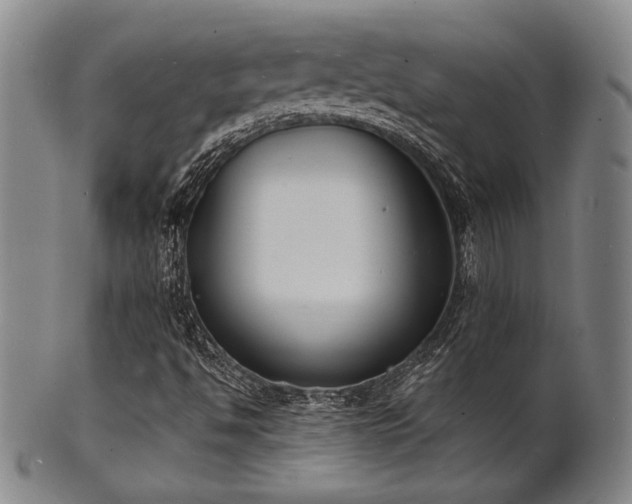 X0000101691494200807101500