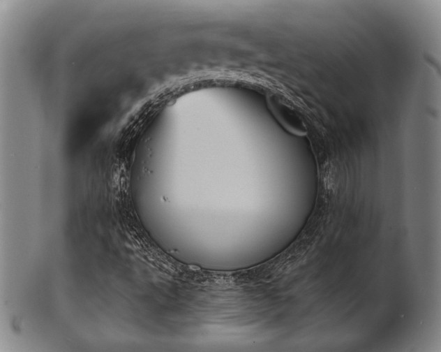 X0000101691495200807101500