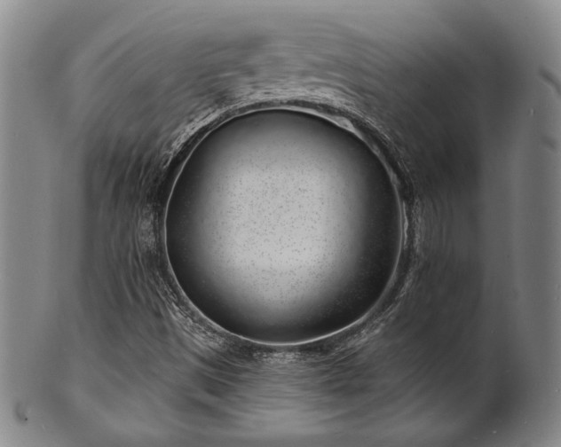 X0000101691497200807101500