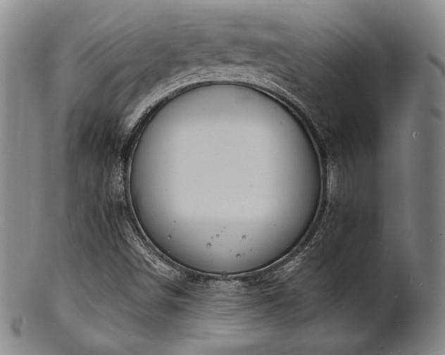X0000101691498200807101500