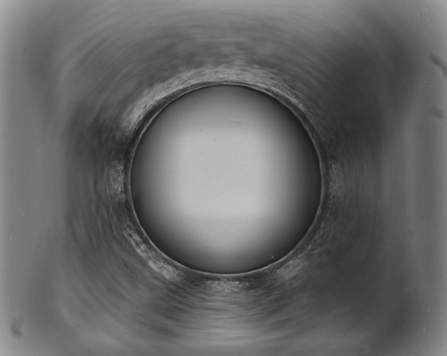 X0000101691499200807101500