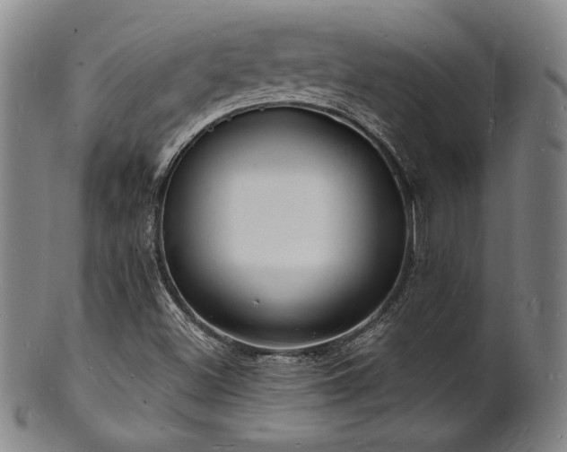 X0000101691500200807101500