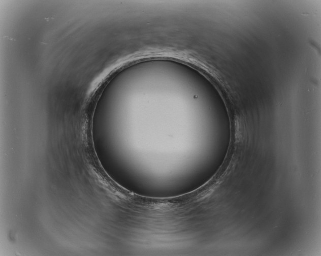 X0000101691502200807101500