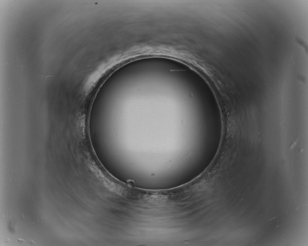 X0000101691503200807101500