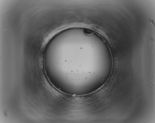 X0000101691504200807101500