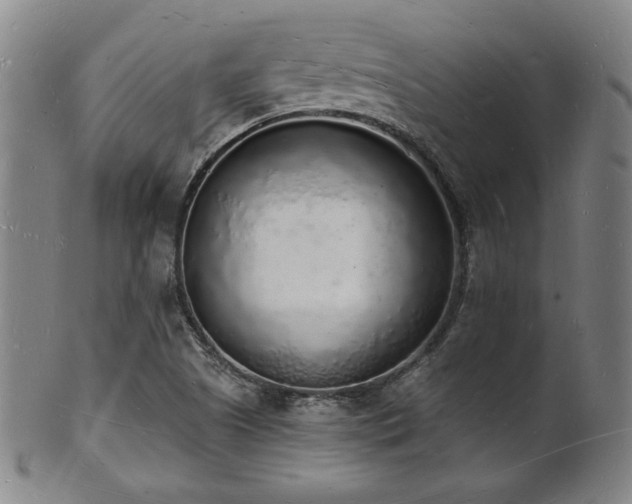 X0000101691505200807101500