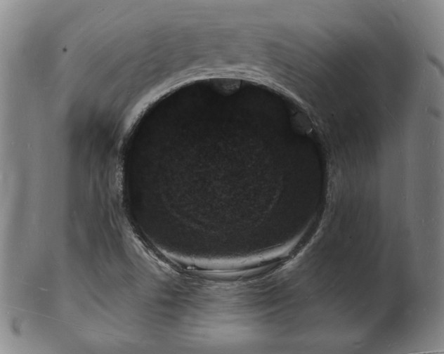 X0000101691506200807101501