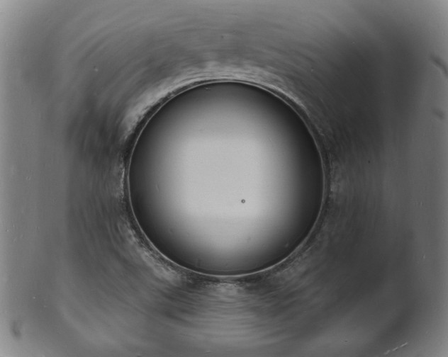 X0000101691507200807101501
