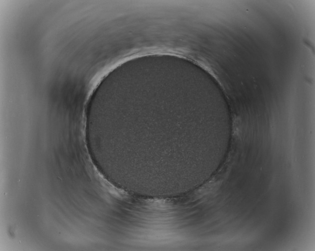 X0000101691508200807101501