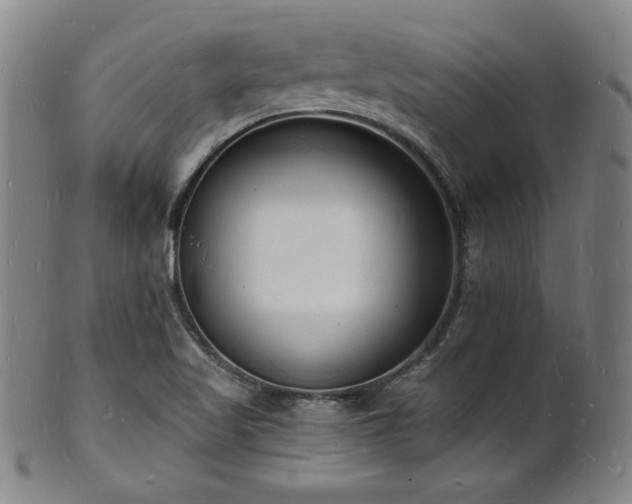 X0000101691509200807101501