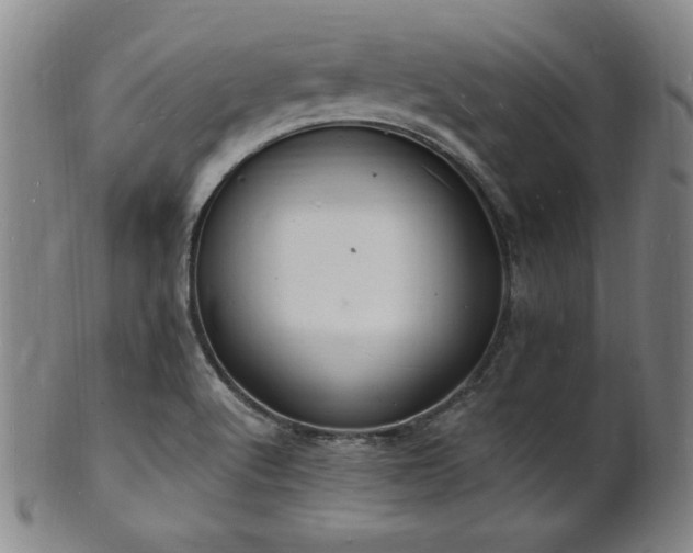 X0000101691512200807101501