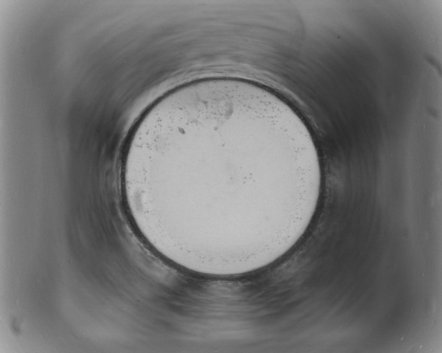 X0000101691514200807101501