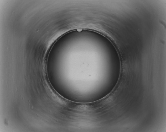 X0000101691517200807101501