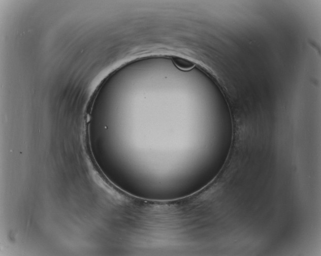 X0000101691518200807101501