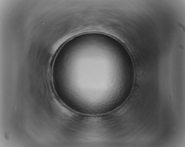 X0000101691519200807101501