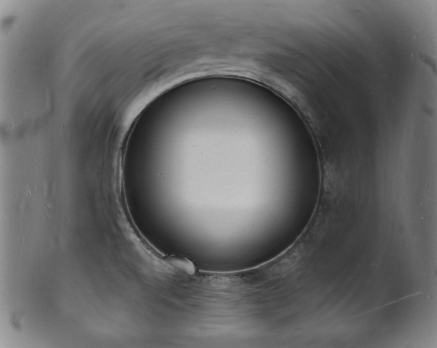 X0000101691520200807101501