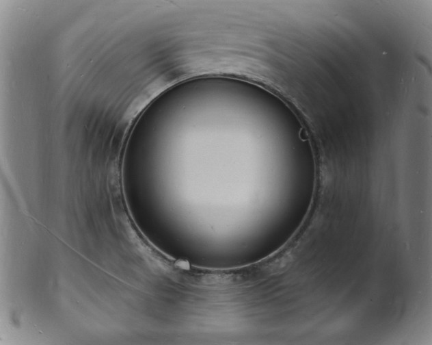 X0000101691521200807101501