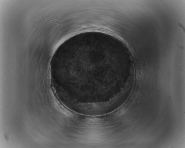 X0000101691522200807101501