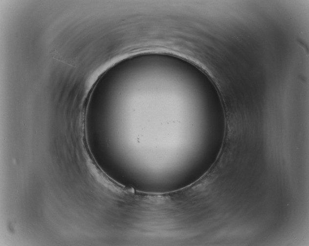 X0000101691526200807101501