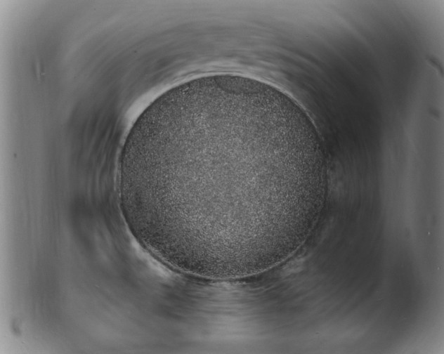 X0000101691527200807101501