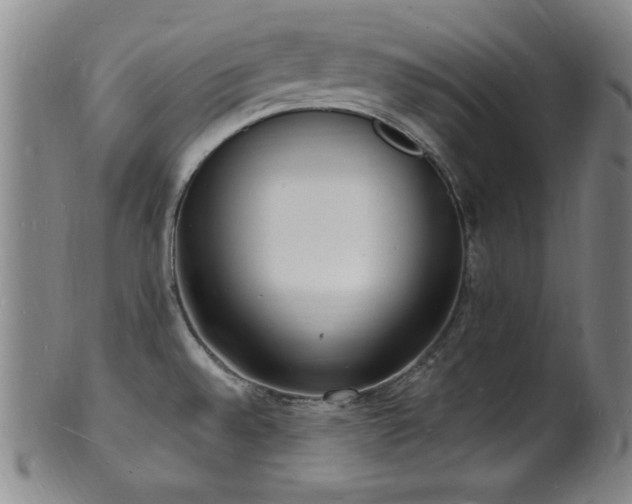 X0000101691528200807101501
