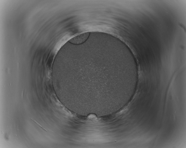 X0000101691529200807101501