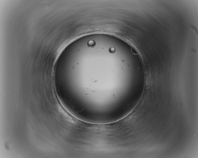 X0000101691532200807101501