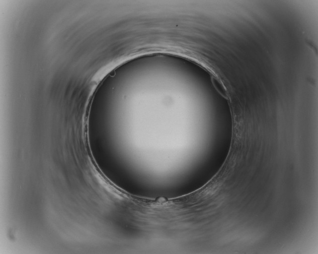 X0000101691535200807101501