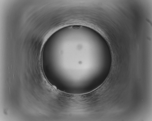 X0000101691536200807101501