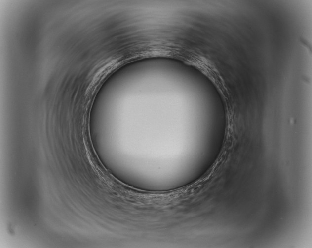 X0000101690001200807171446