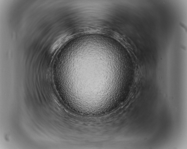 X0000101690002200807171446