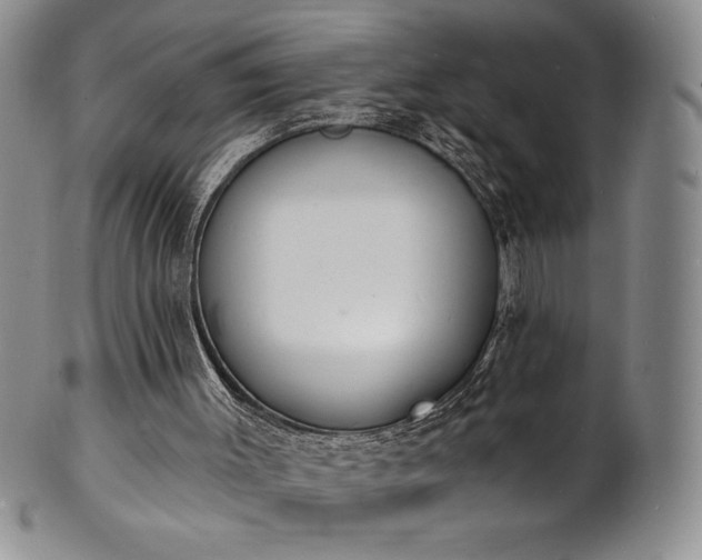 X0000101690003200807171446