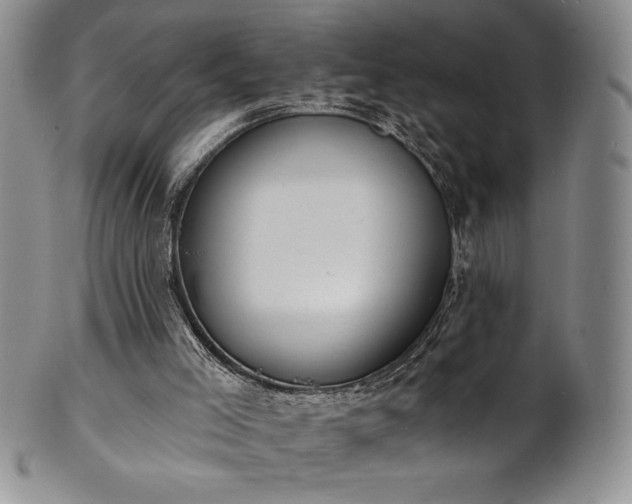 X0000101690005200807171446