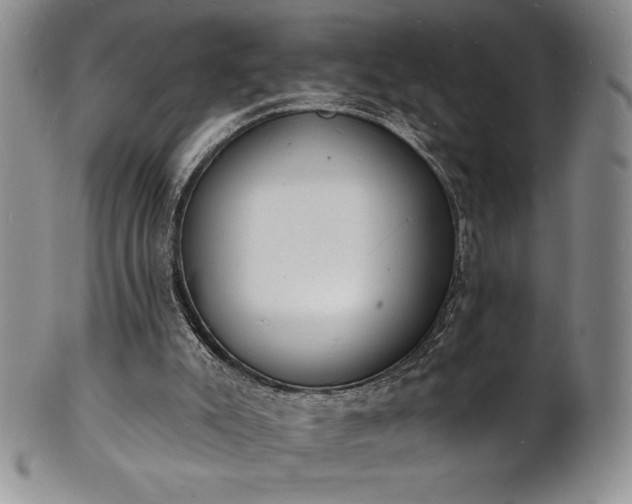 X0000101690007200807171446