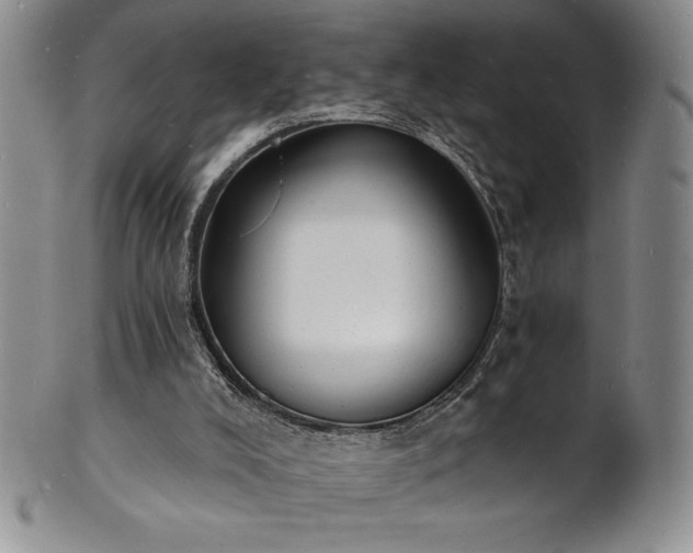 X0000101690008200807171446