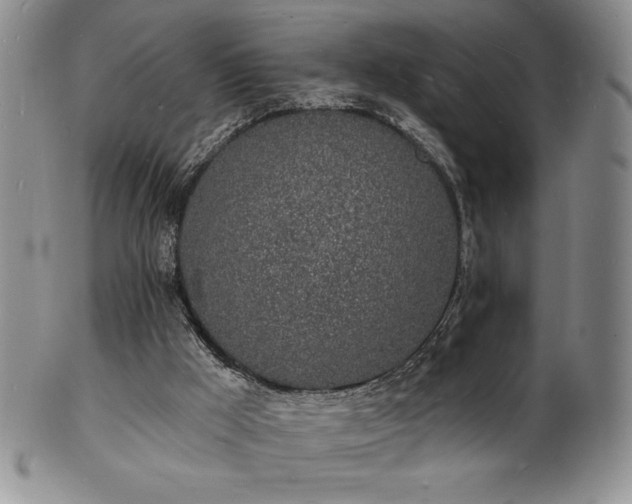 X0000101690009200807171446