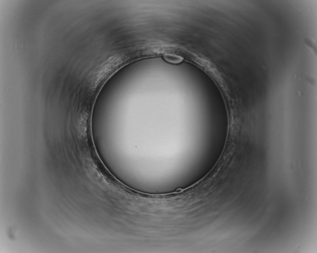 X0000101690010200807171446