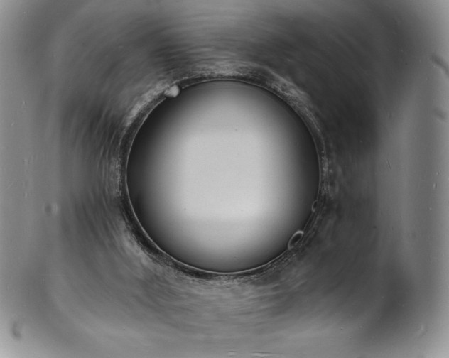 X0000101690012200807171446