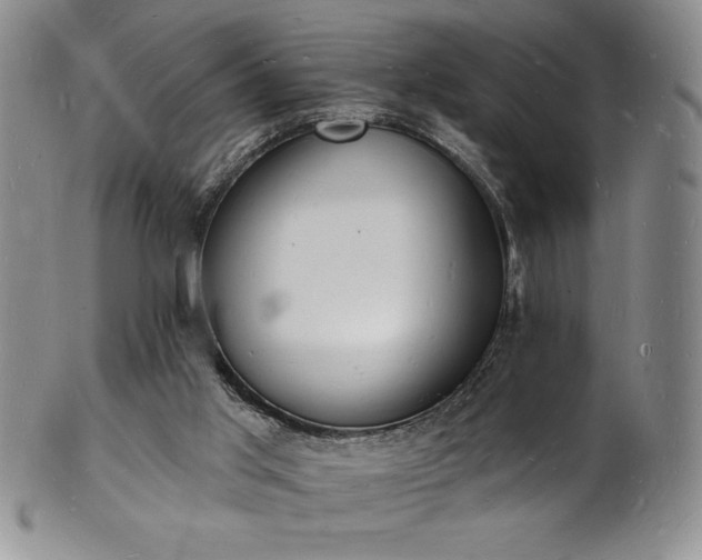 X0000101690013200807171446