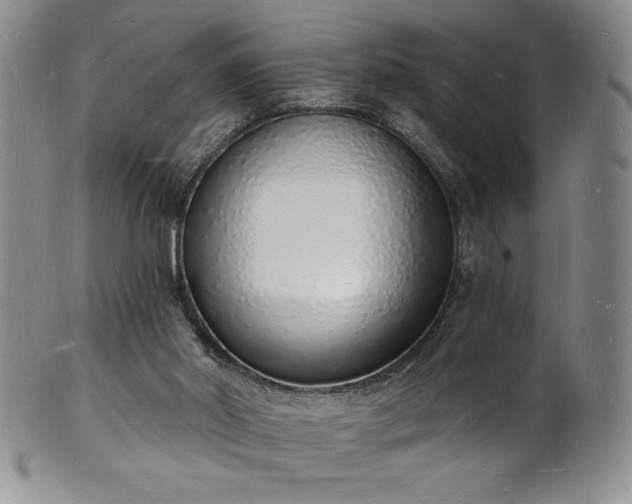 X0000101690014200807171446