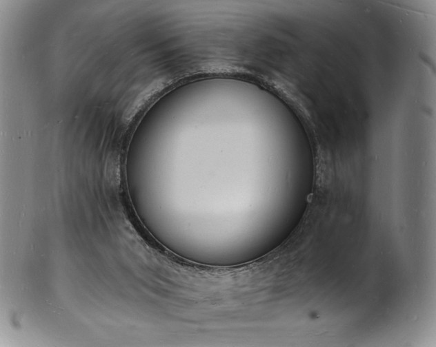 X0000101690015200807171446