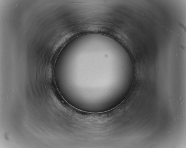 X0000101690016200807171446