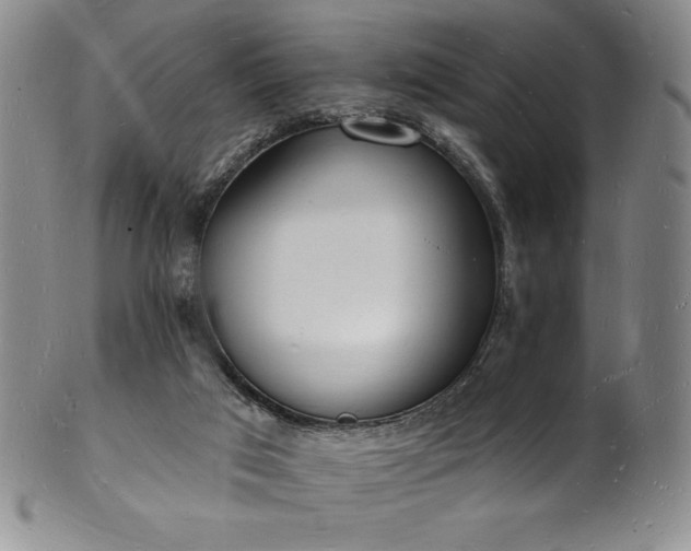 X0000101690017200807171446