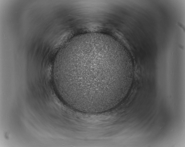 X0000101690018200807171446