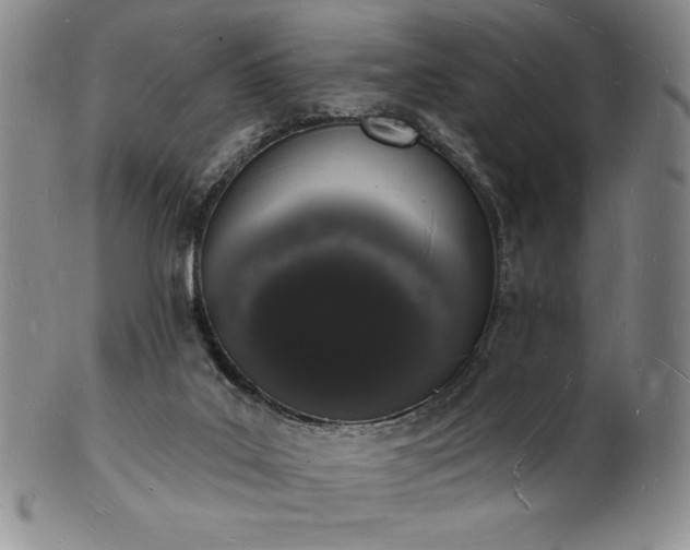 X0000101690019200807171446