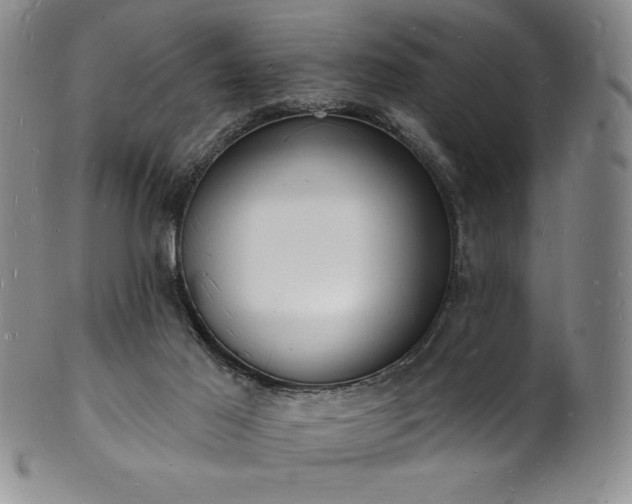 X0000101690021200807171446