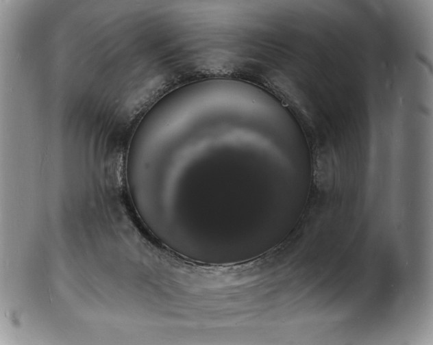 X0000101690023200807171446