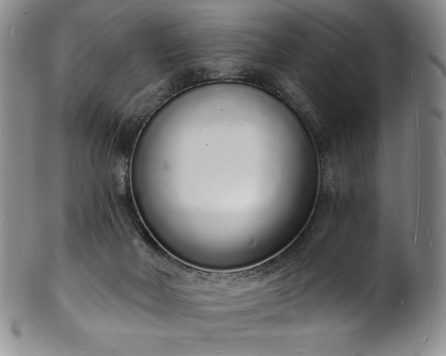 X0000101690026200807171446